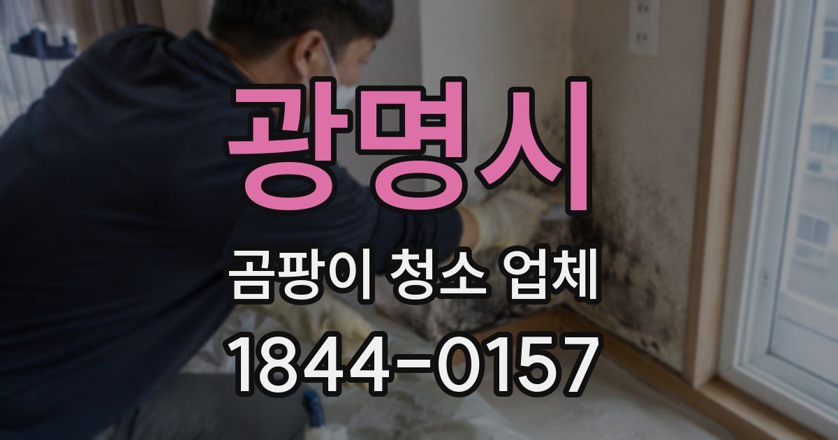 광명시 곰팡이 청소 업체