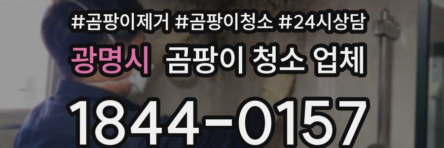 광명시 곰팡이 청소 업체