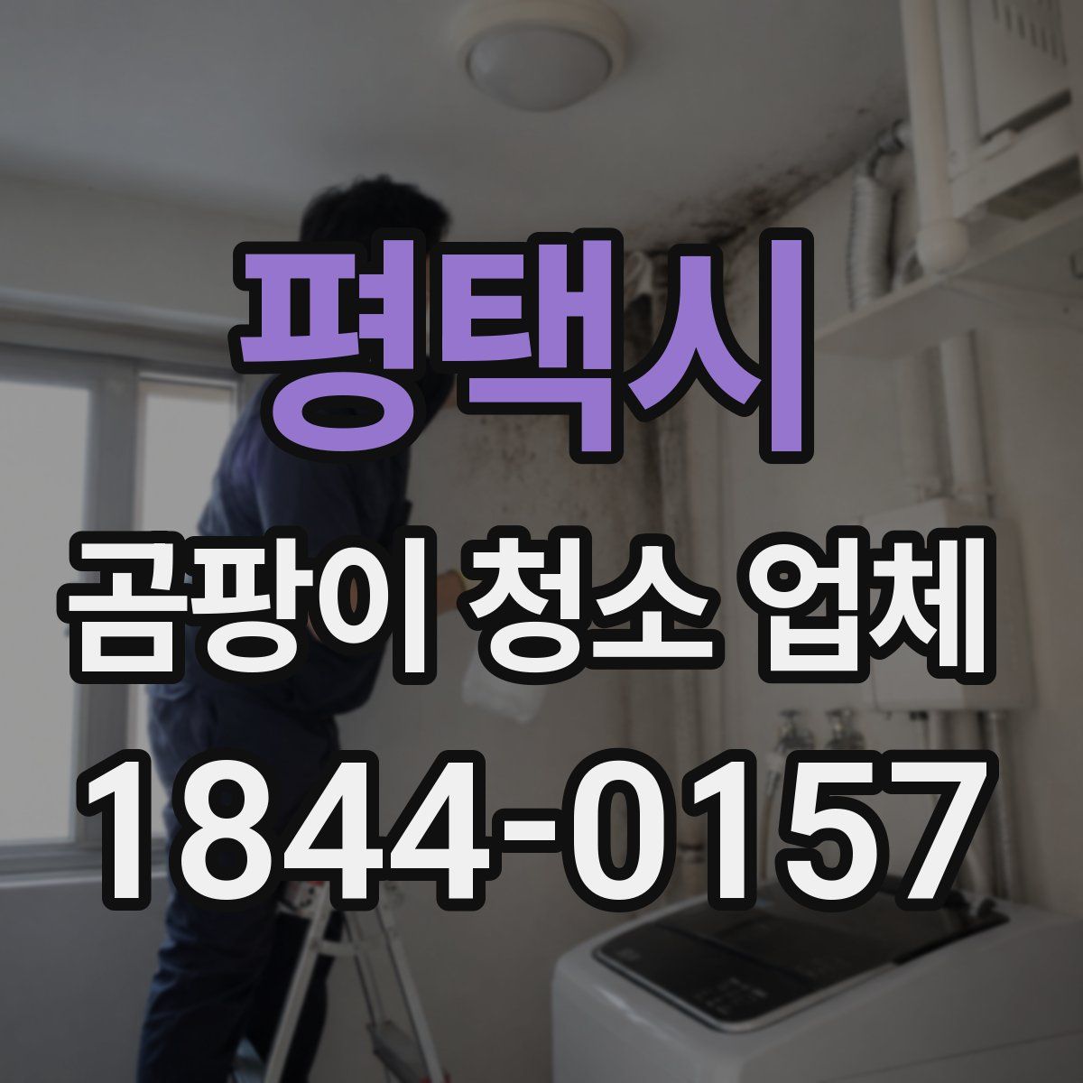 평택시 곰팡이 청소 업체