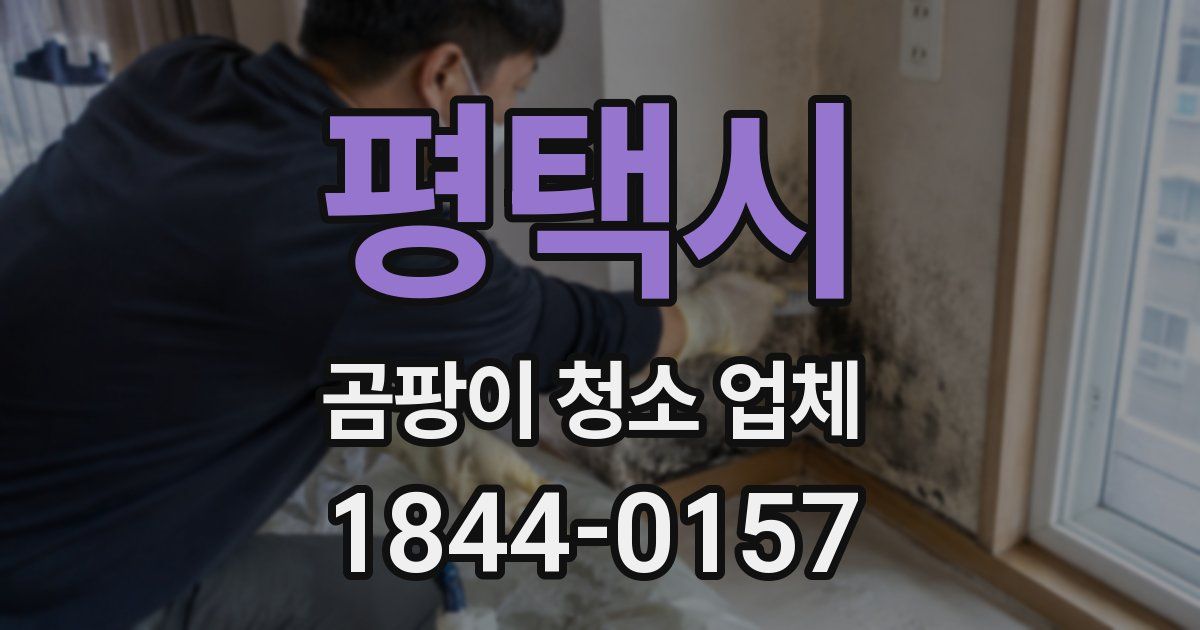 평택시 곰팡이 청소 업체