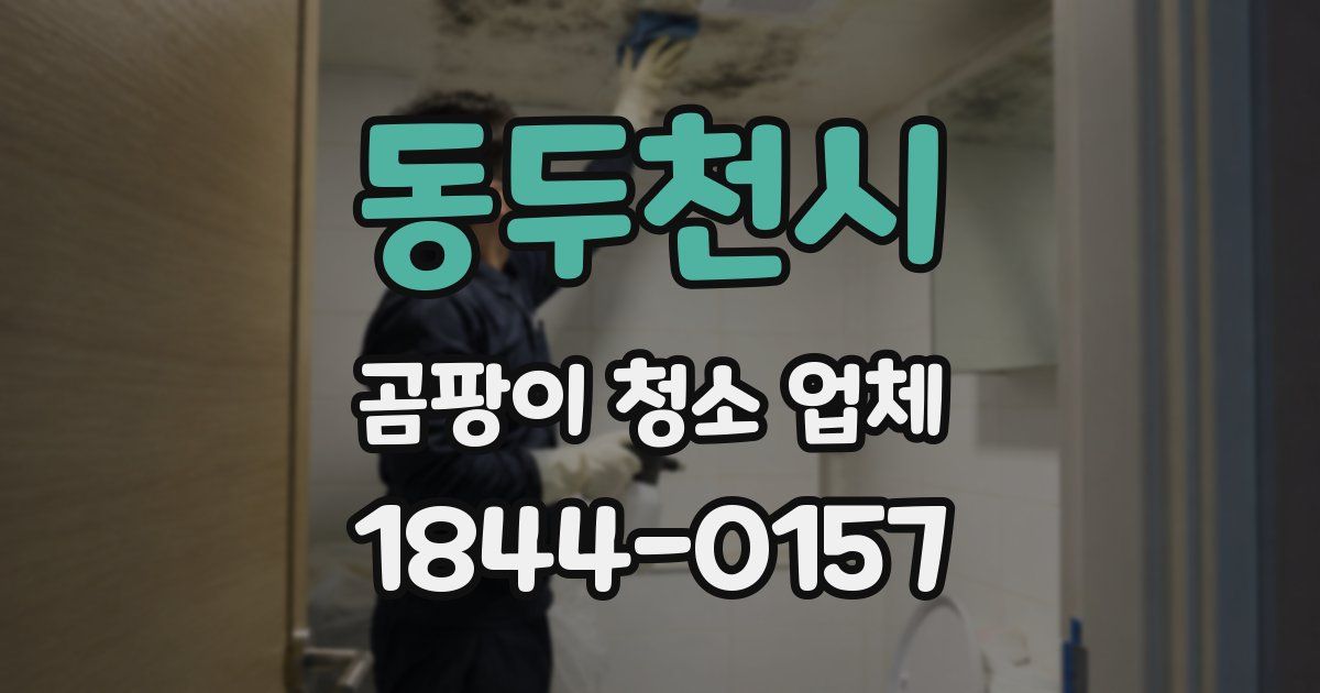 동두천시 곰팡이 청소 업체