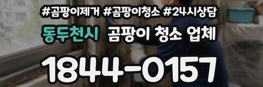 동두천시 곰팡이 청소 업체