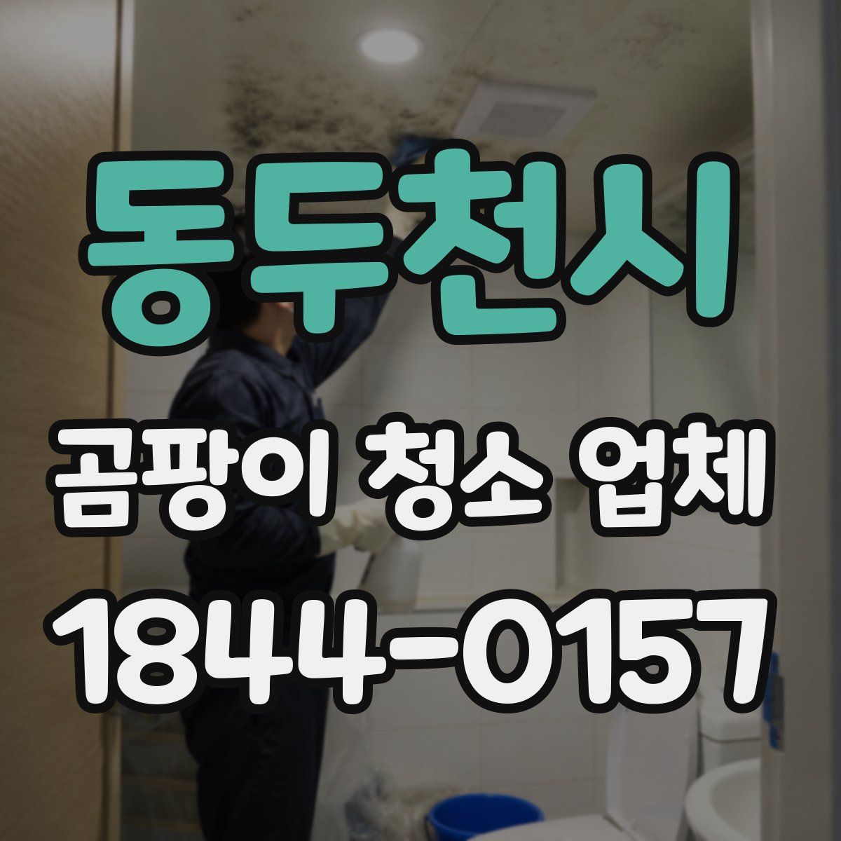 동두천시 곰팡이 청소 업체