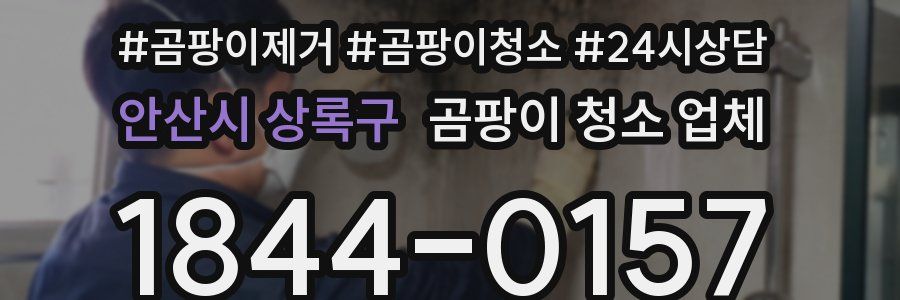 안산시 상록구 곰팡이 청소 업체