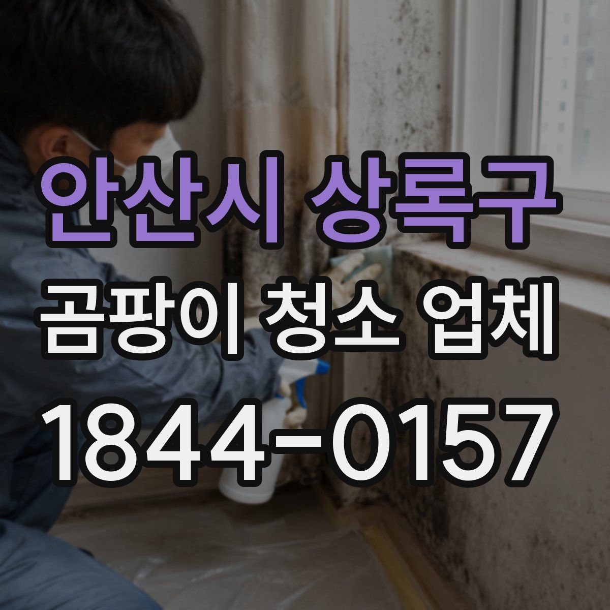 안산시 상록구 곰팡이 청소 업체