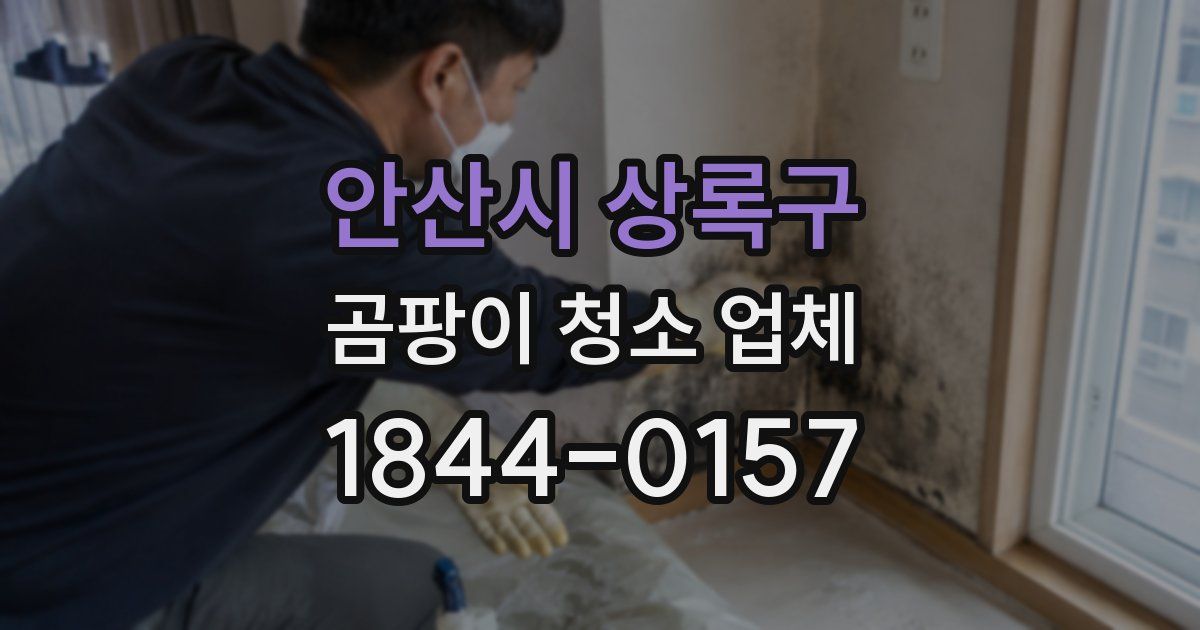 안산시 상록구 곰팡이 청소 업체