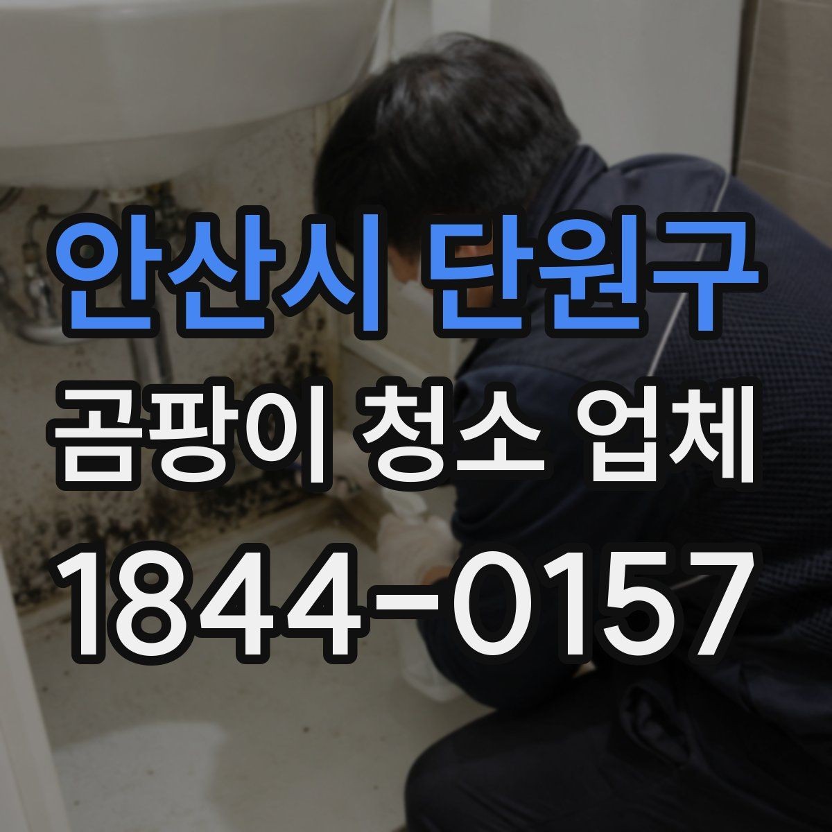 안산시 단원구 곰팡이 청소 업체 재오염을 줄이는 마무리 정리법