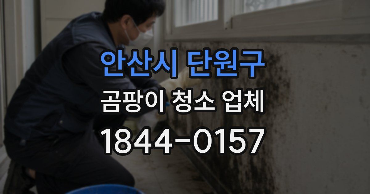 안산시 단원구 곰팡이 청소 업체