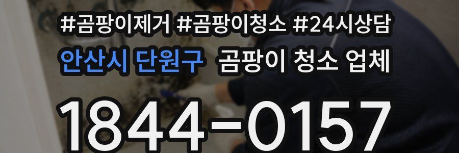 안산시 단원구 곰팡이 청소 업체