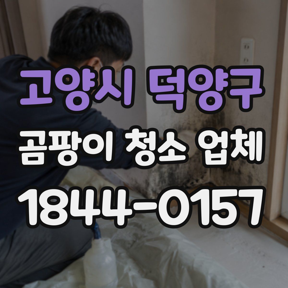 고양시 덕양구 곰팡이 청소 업체