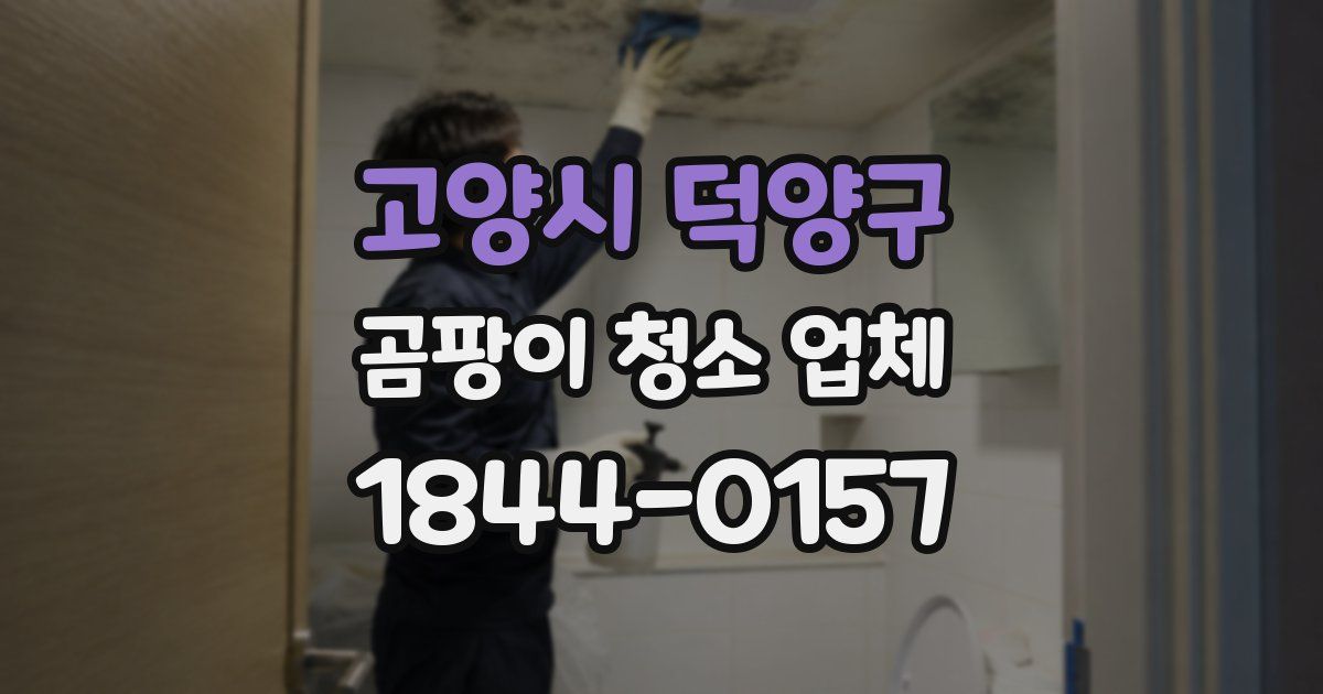 고양시 덕양구 곰팡이 청소 업체