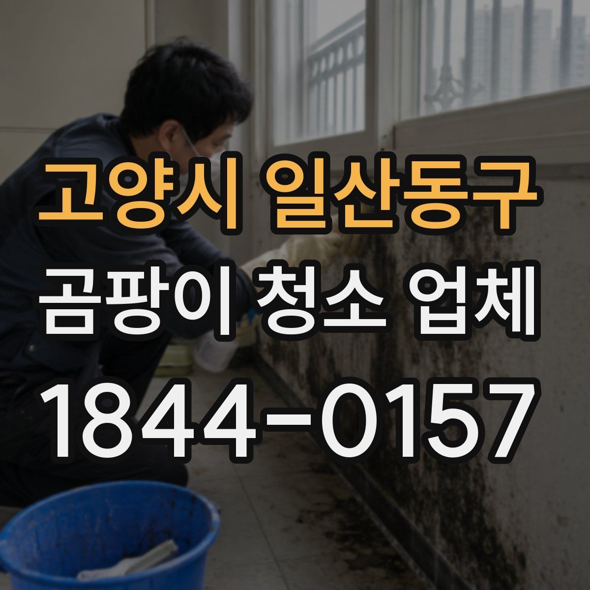 고양시 일산동구 곰팡이 청소 업체 아이 방과 반려동물 공간 점검 포인트
