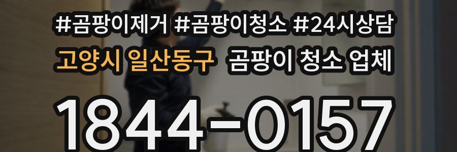 고양시 일산동구 곰팡이 청소 업체