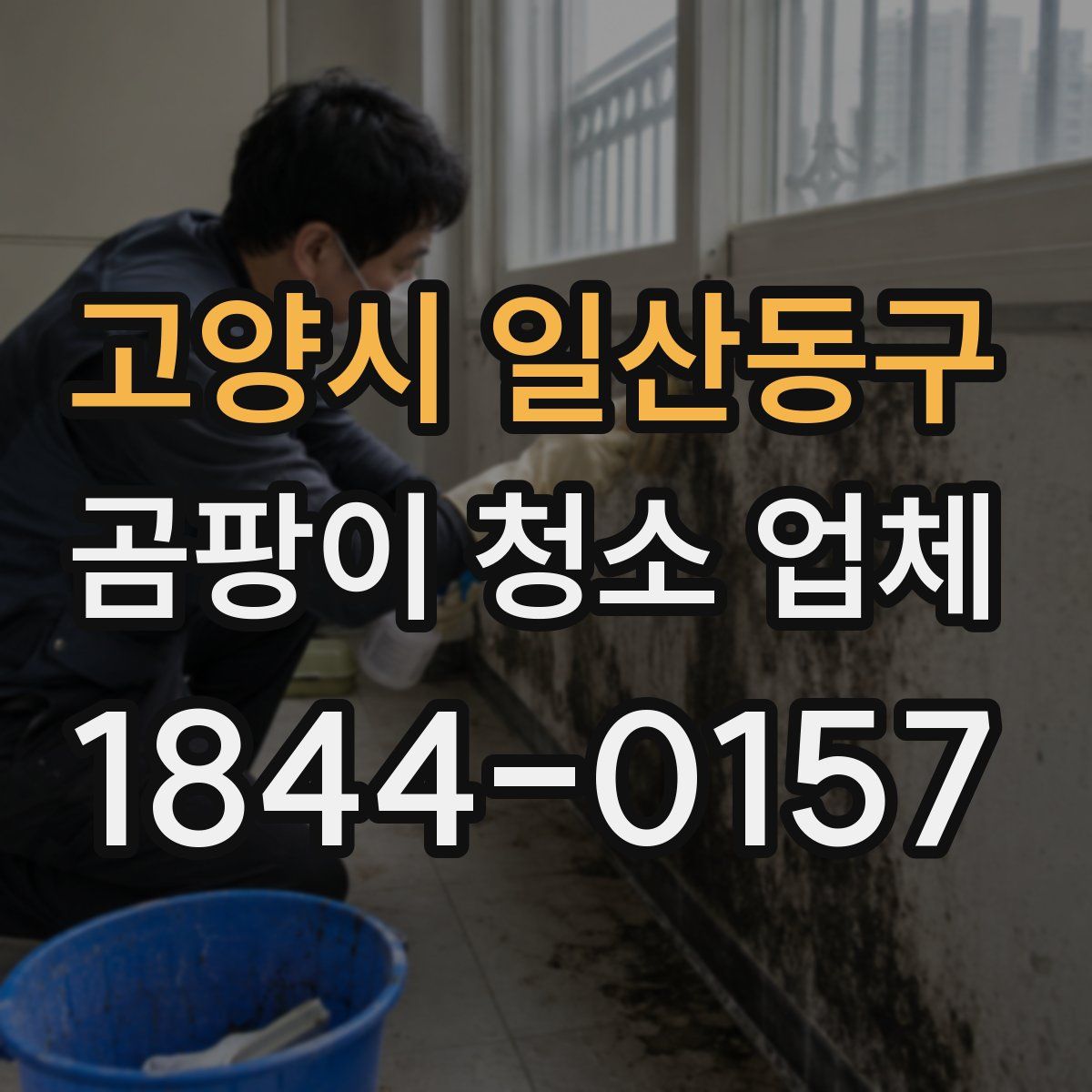 고양시 일산동구 곰팡이 청소 업체