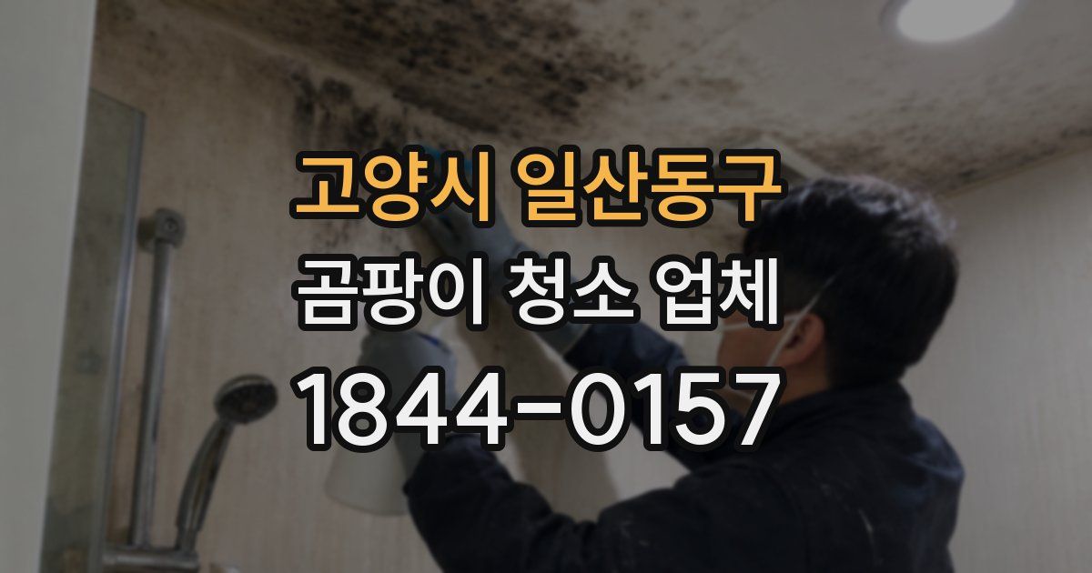 고양시 일산동구 곰팡이 청소 업체