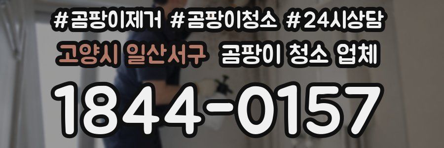 고양시 일산서구 곰팡이 청소 업체
