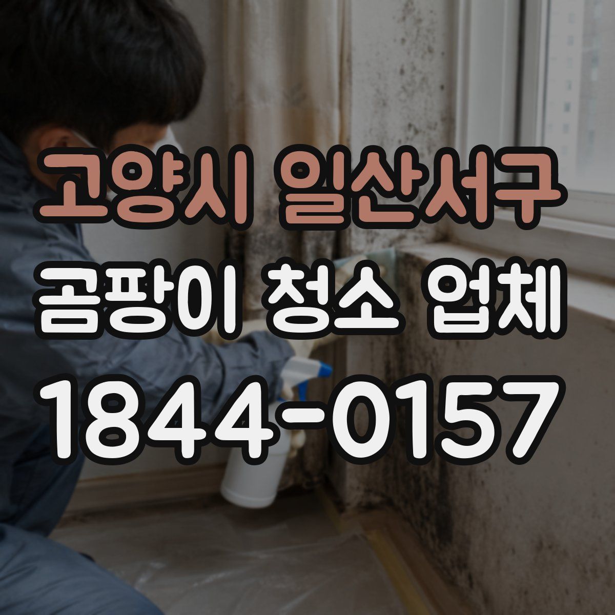 고양시 일산서구 곰팡이 청소 업체