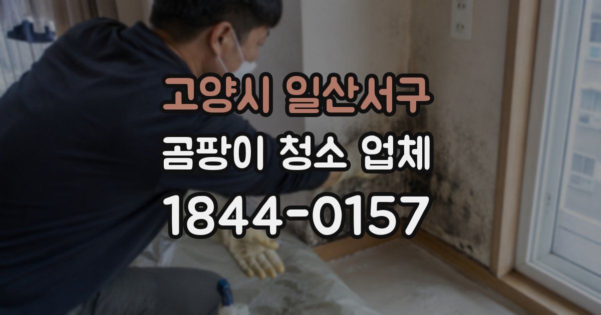 고양시 일산서구 곰팡이 청소 업체