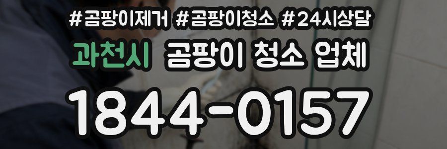 과천시 곰팡이 청소 업체