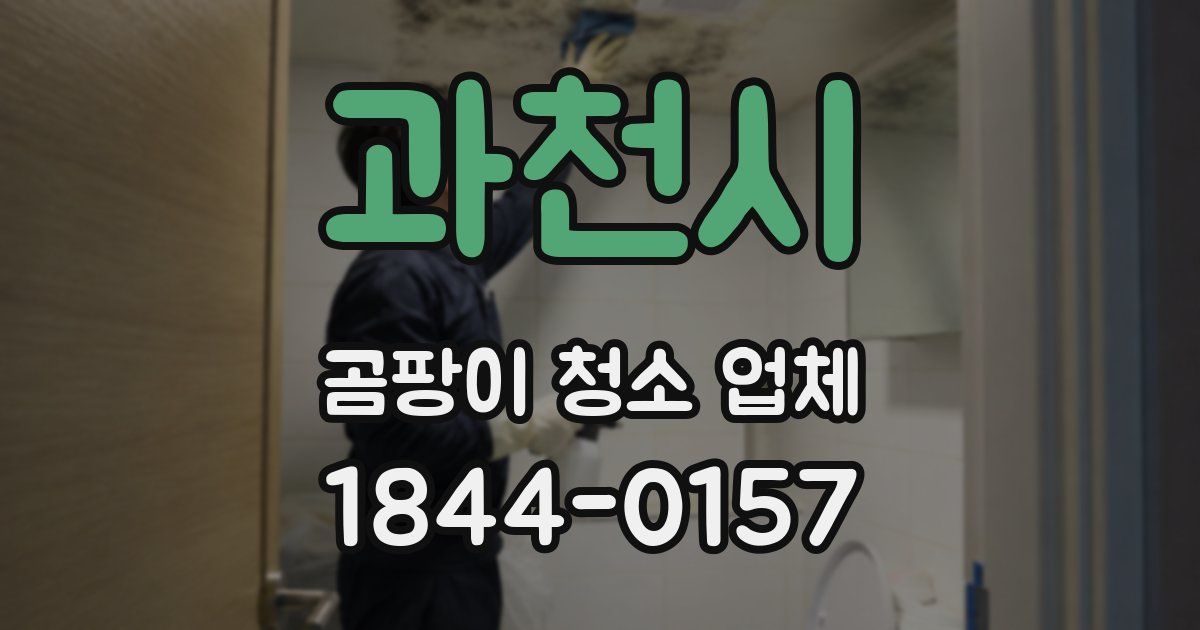 과천시 곰팡이 청소 업체