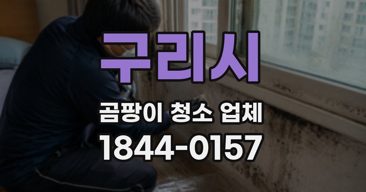 구리시 곰팡이 청소 업체