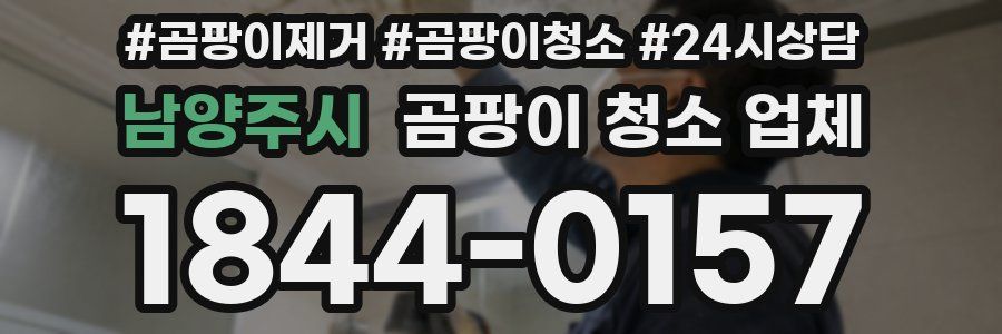 남양주시 곰팡이 청소 업체