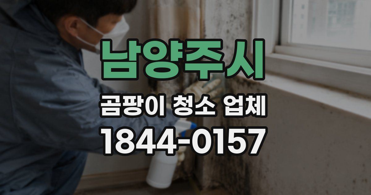 남양주시 곰팡이 청소 업체