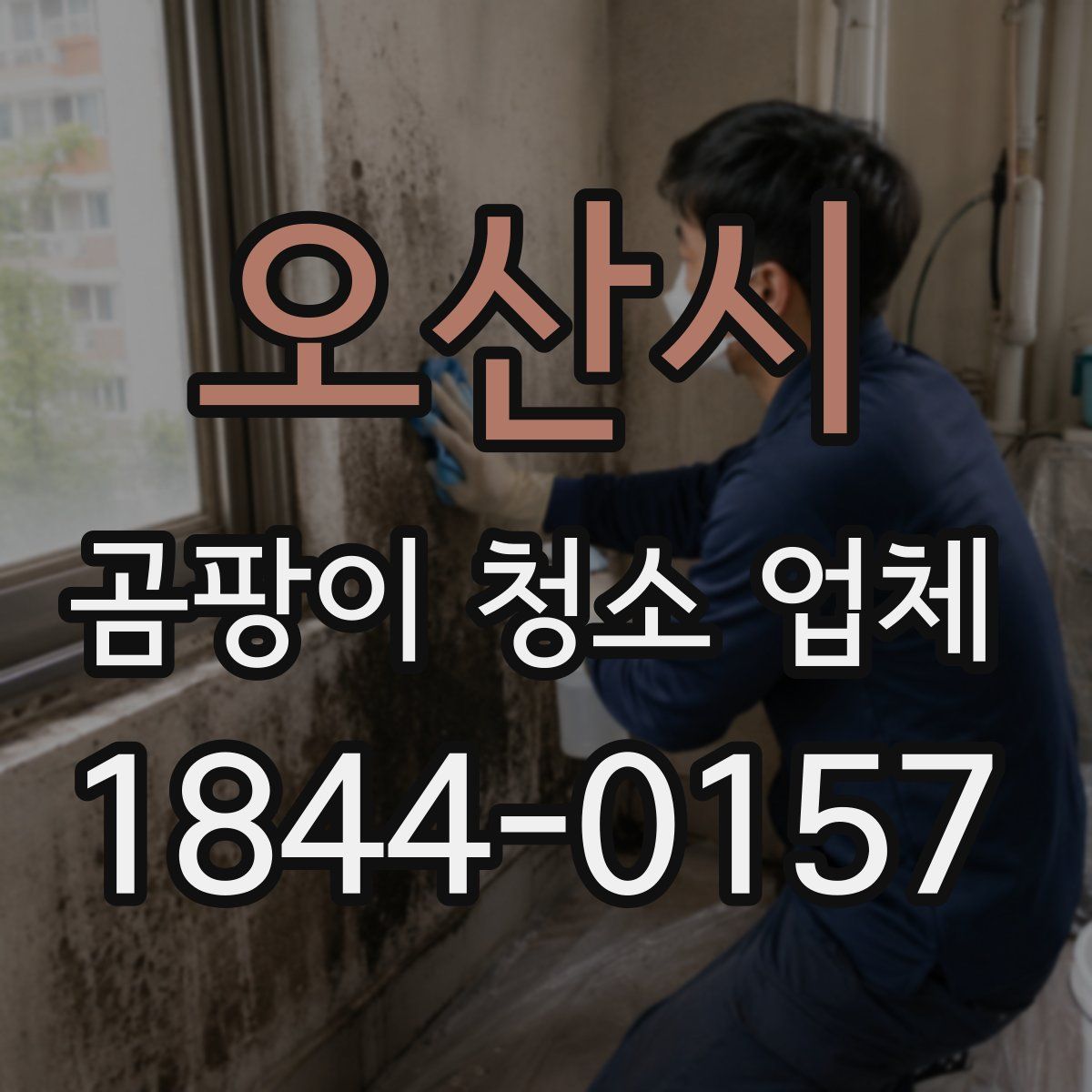 오산시 곰팡이 청소 업체