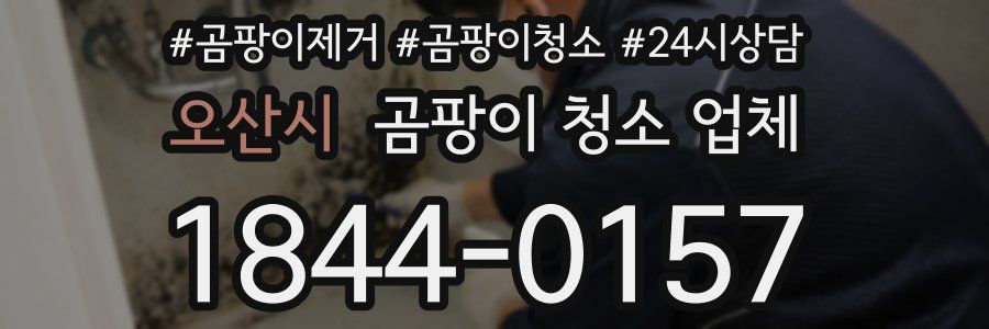 오산시 곰팡이 청소 업체