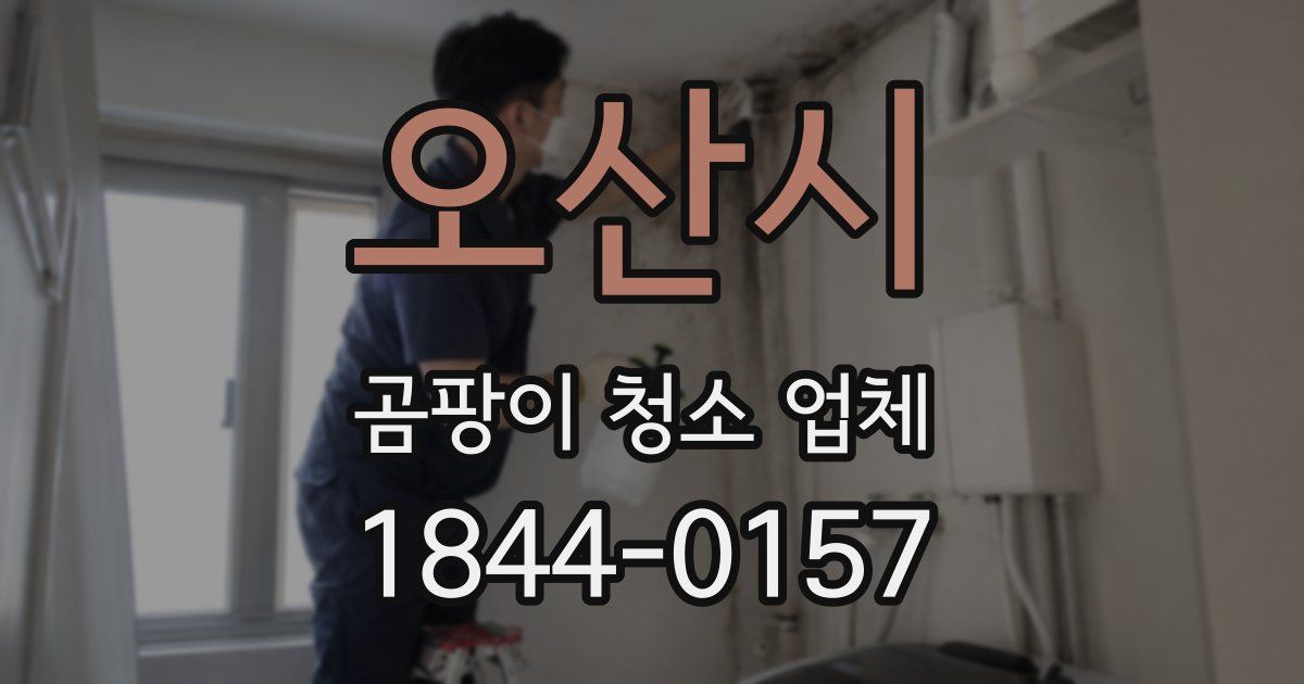 오산시 곰팡이 청소 업체