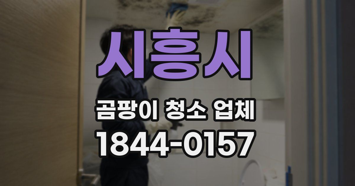 시흥시 곰팡이 청소 업체