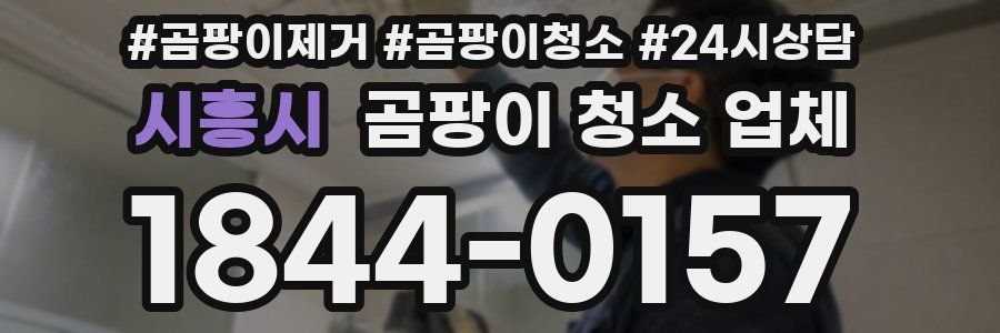 시흥시 곰팡이 청소 업체