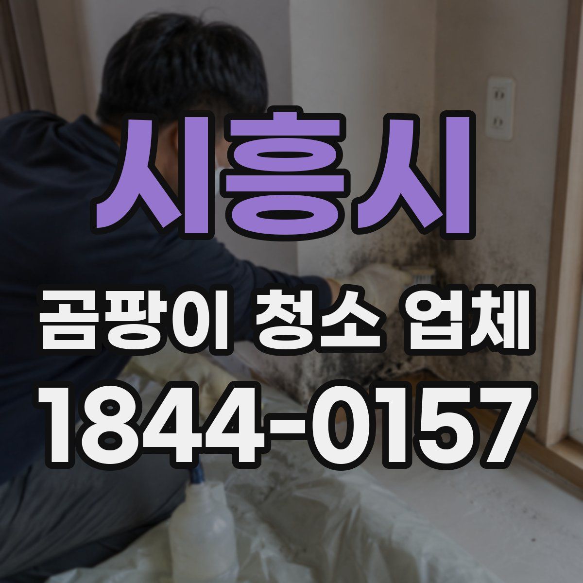 시흥시 곰팡이 청소 업체