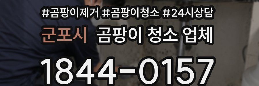 군포시 곰팡이 청소 업체