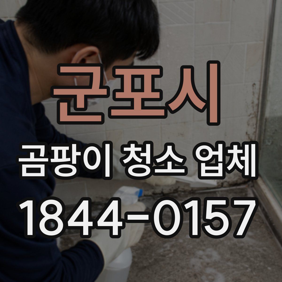 군포시 곰팡이 청소 업체