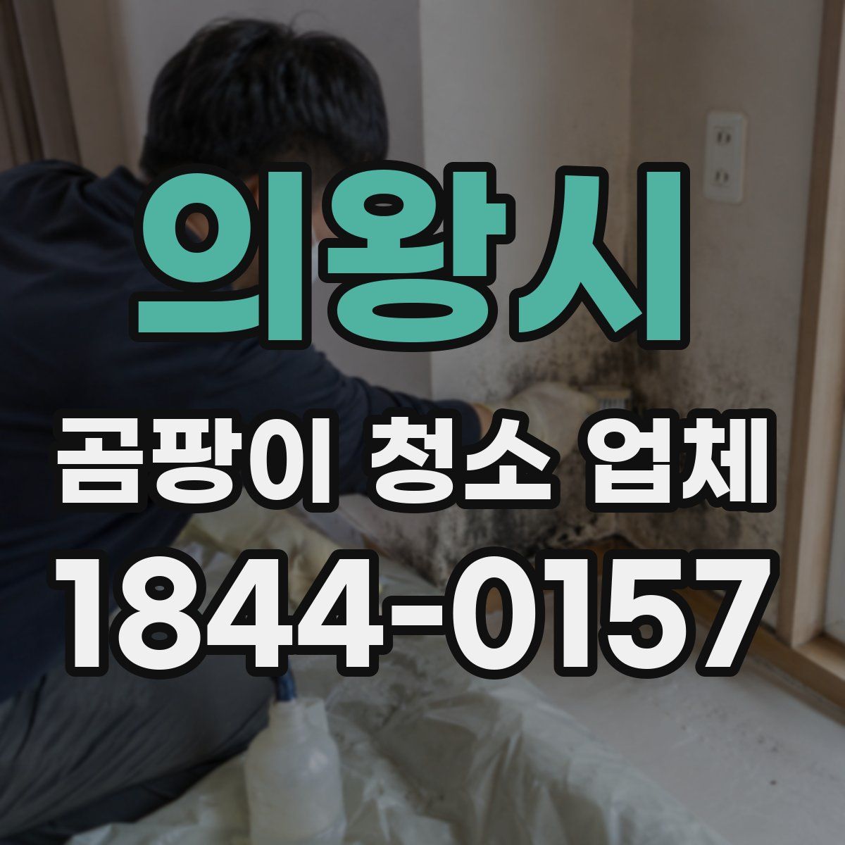 의왕시 곰팡이 청소 업체