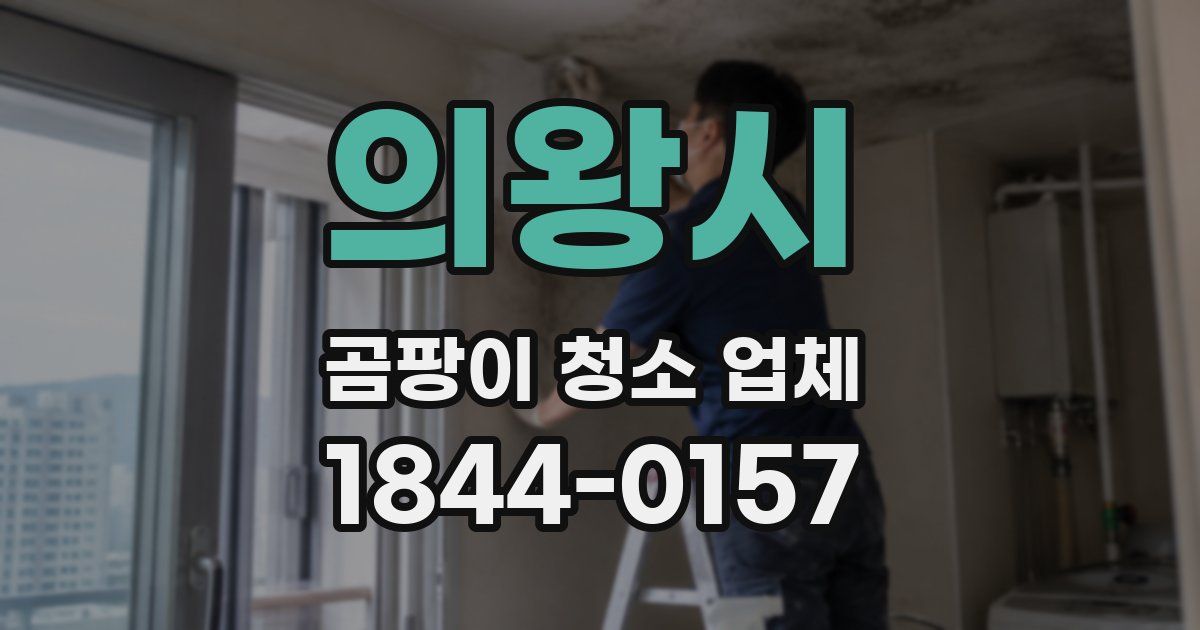 의왕시 곰팡이 청소 업체