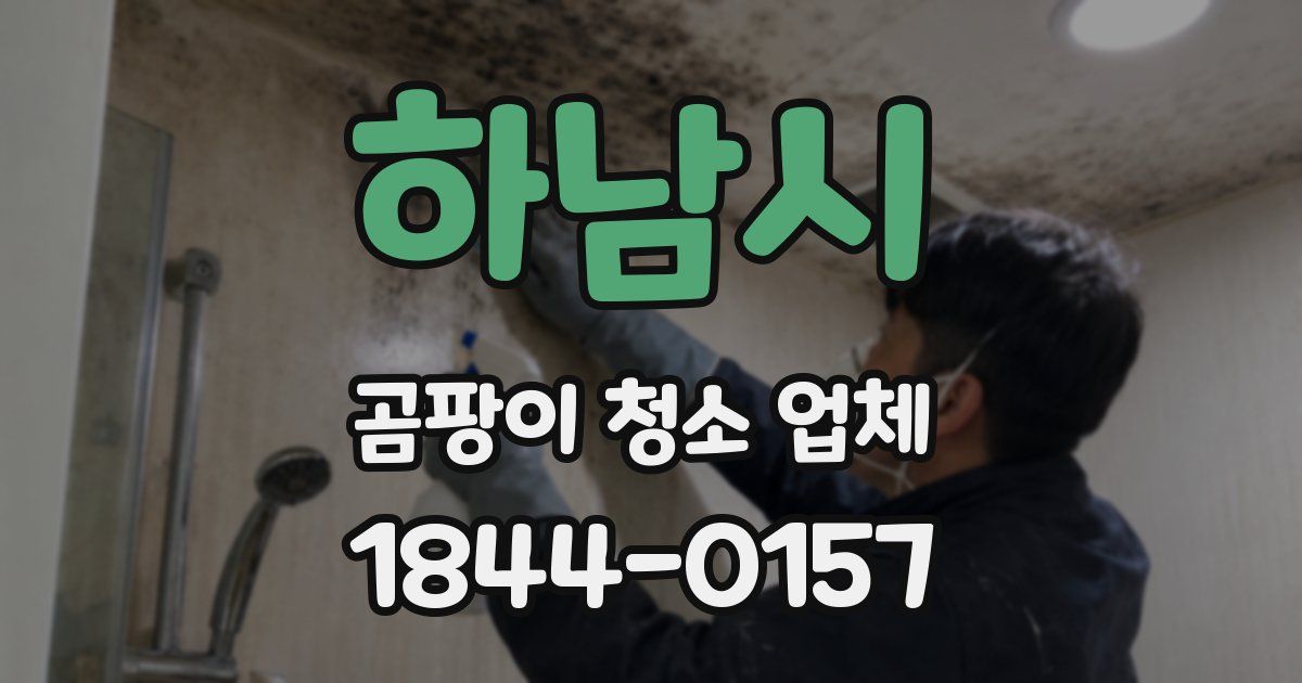 하남시 곰팡이 청소 업체