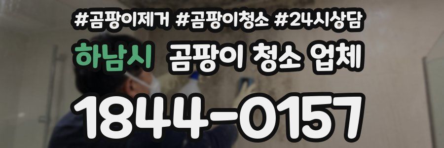 하남시 곰팡이 청소 업체