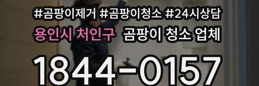 용인시 처인구 곰팡이 청소 업체