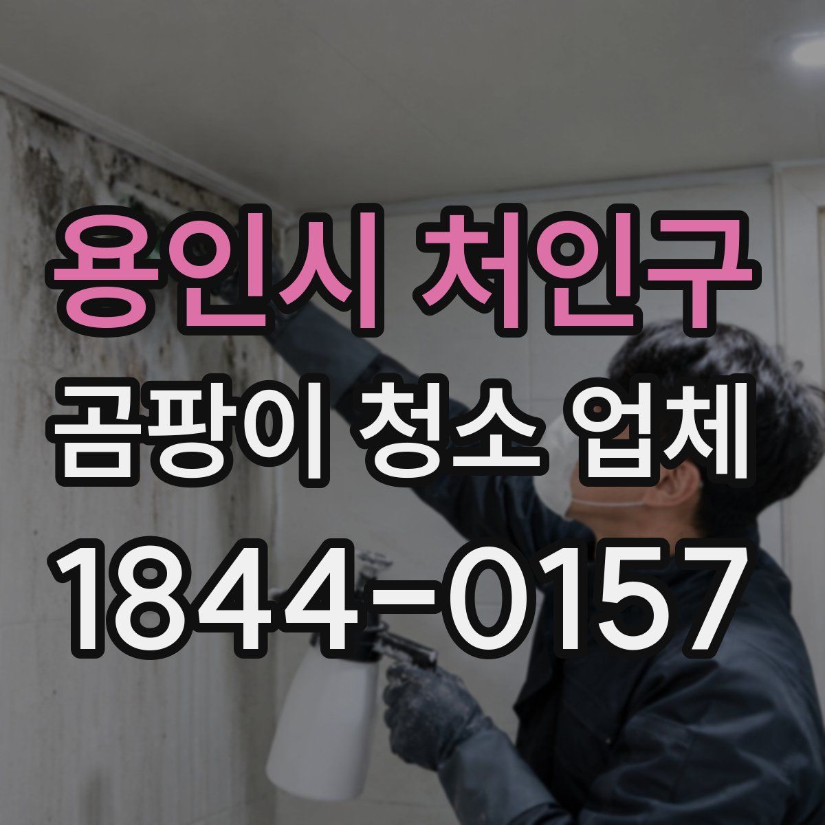 용인시 처인구 곰팡이 청소 업체