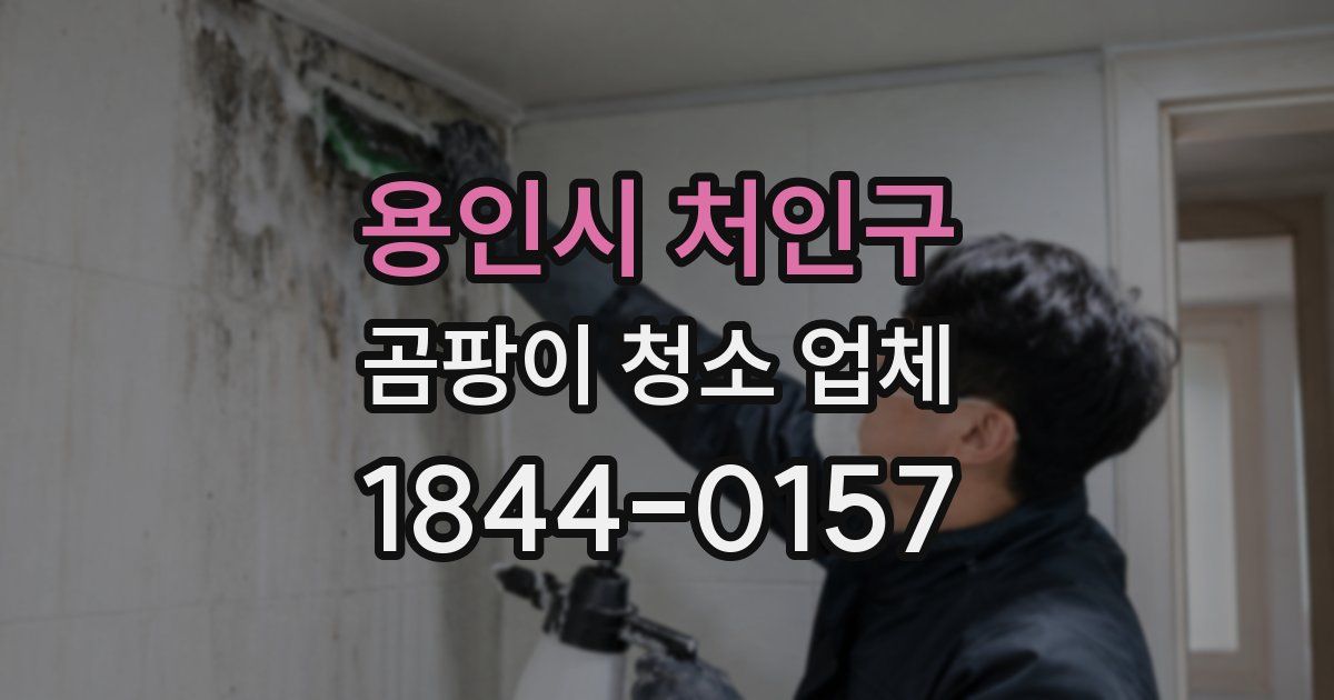 용인시 처인구 곰팡이 청소 업체