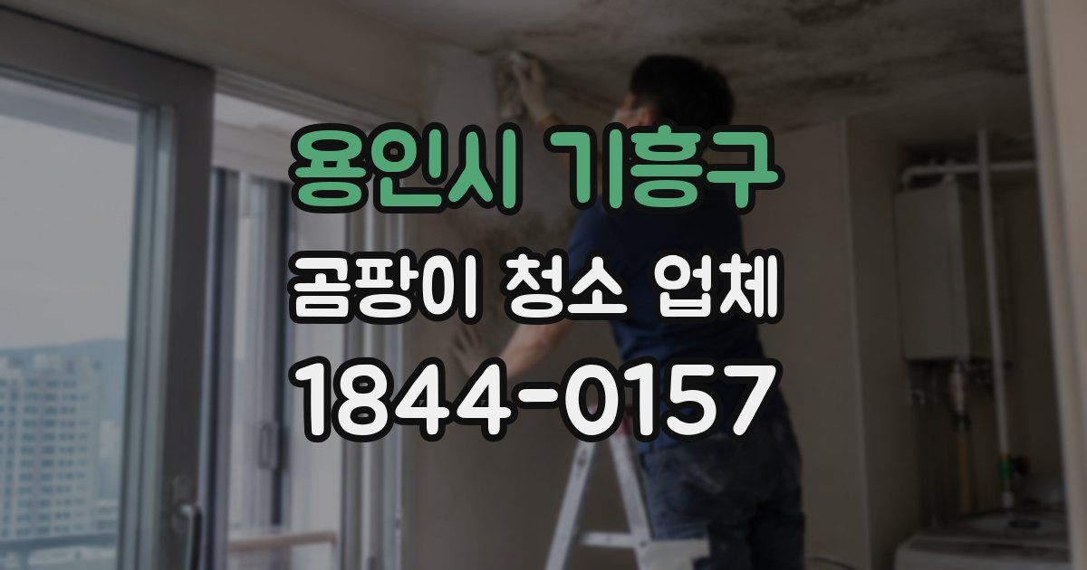 용인시 기흥구 곰팡이 청소 업체