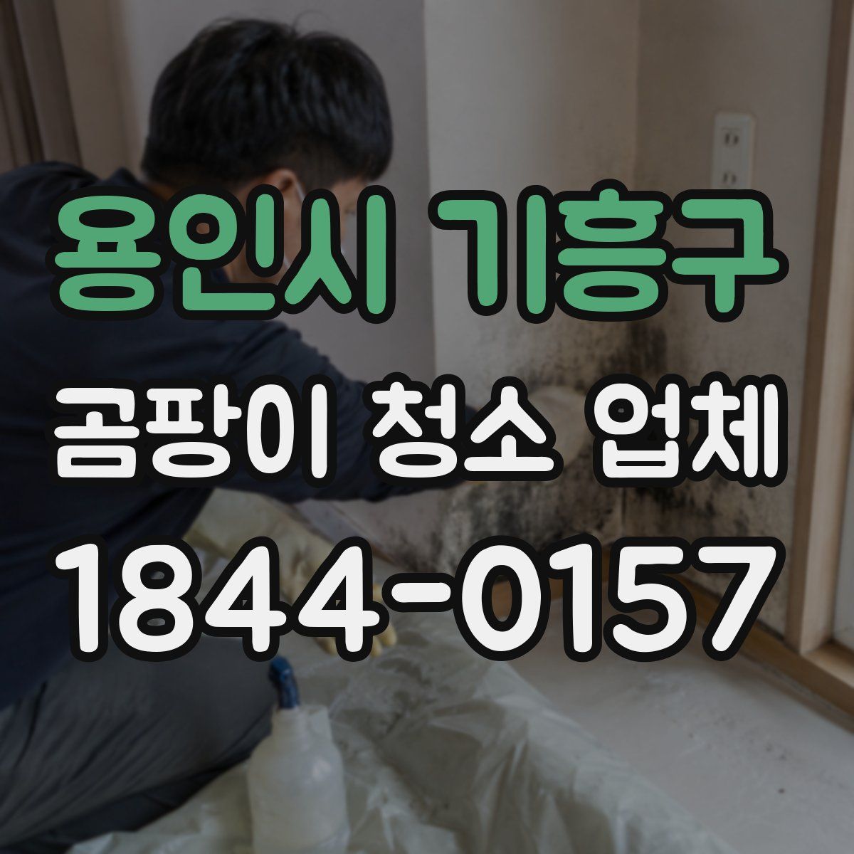 용인시 기흥구 곰팡이 청소 업체