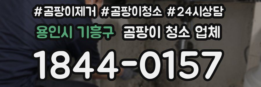 용인시 기흥구 곰팡이 청소 업체
