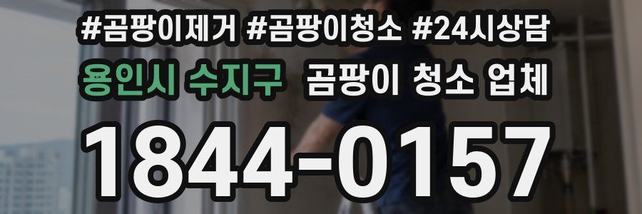 용인시 수지구 곰팡이 청소 업체
