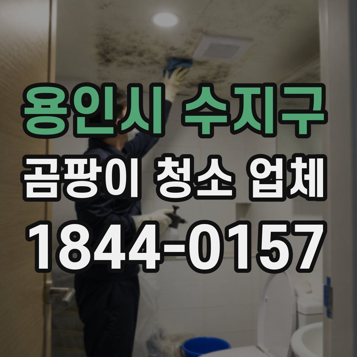 용인시 수지구 곰팡이 청소 업체