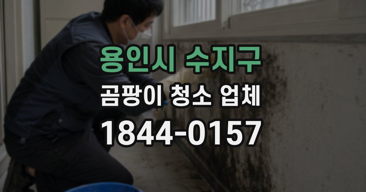 용인시 수지구 곰팡이 청소 업체