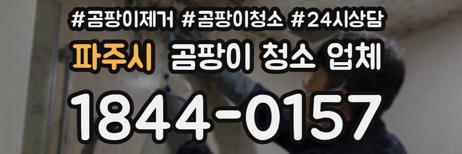 파주시 곰팡이 청소 업체