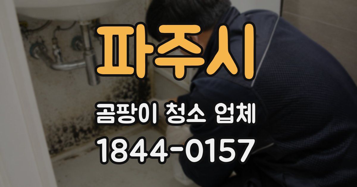파주시 곰팡이 청소 업체